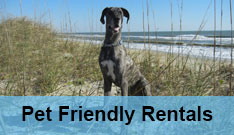 Pet Friendly Rentals