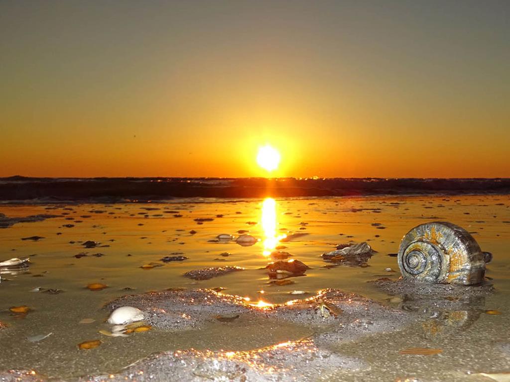 Leslie's Vacation Rentals WH39 Down the Shore ALL Properties